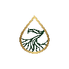Seven Roots - Home