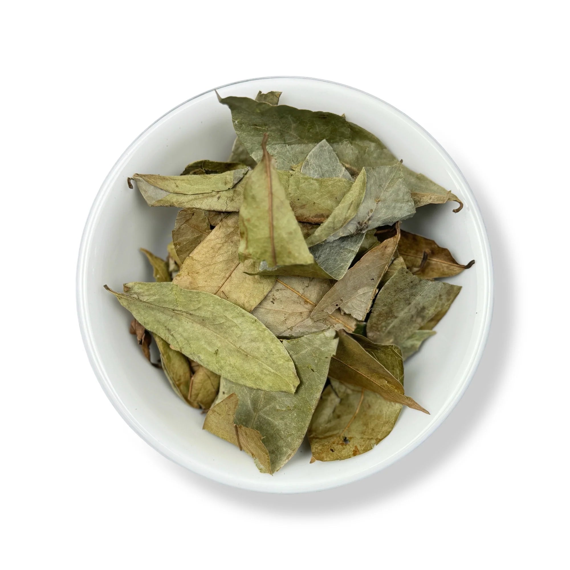 Soursop Leaf